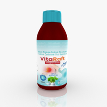  Pharma franchise in gujarat Vita Pharmaceuticals  -	Vitaraft syp bott.jpg	